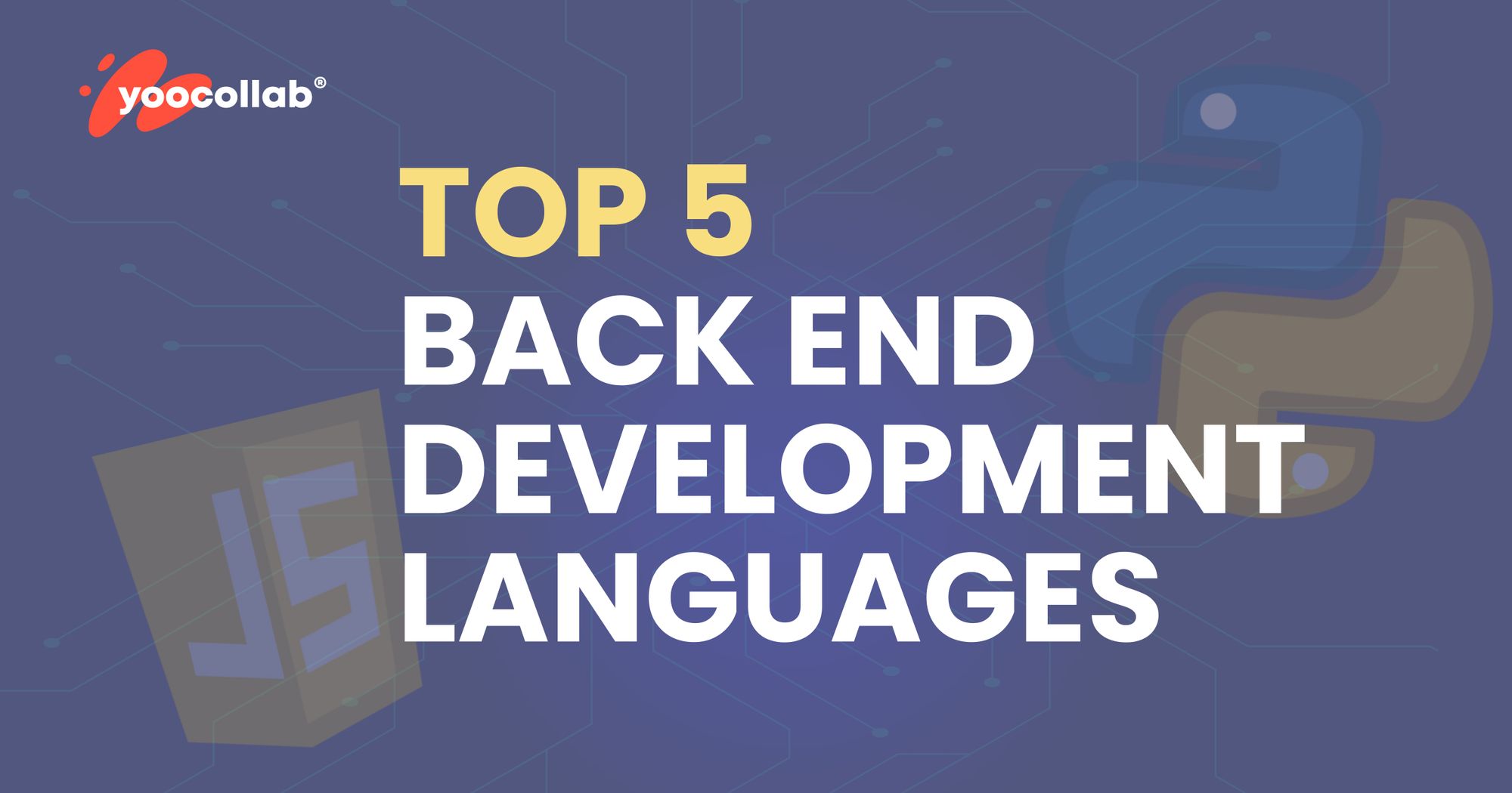 Top 5 Back End Development Languages   BLOG BACK END 