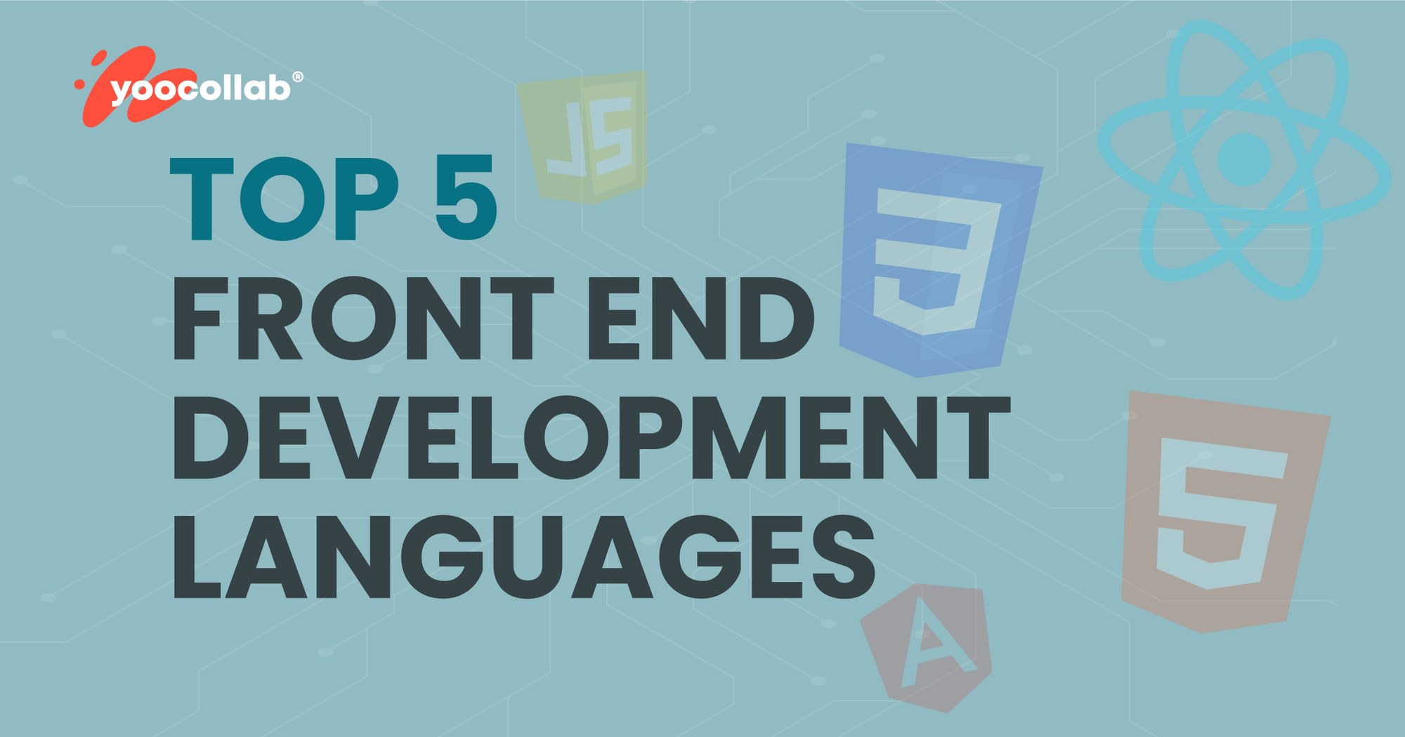 Top 5 Front End Programming Languages