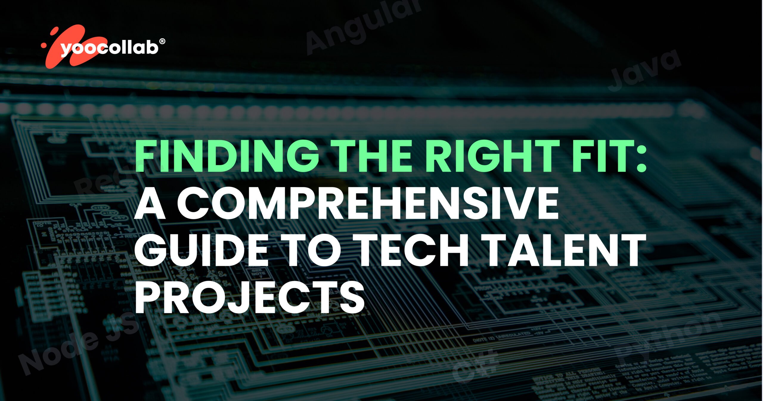 Finding the Right Fit: A Comprehensive Guide to Tech Talent Projects