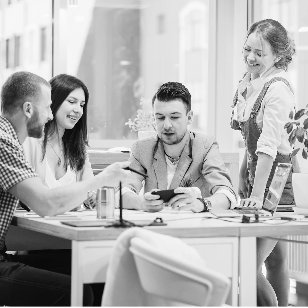 Outsourced telecom software development