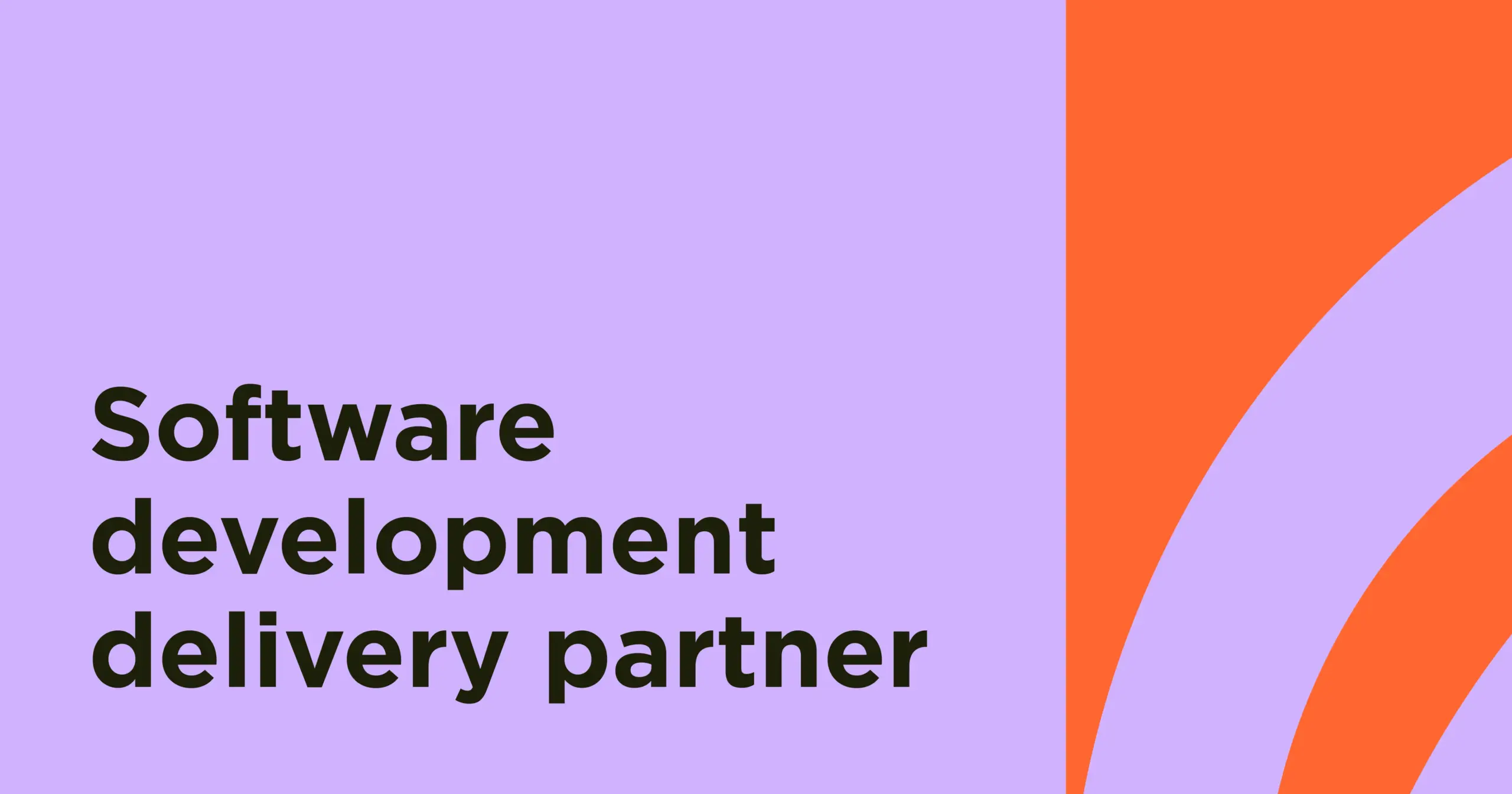 software development partner